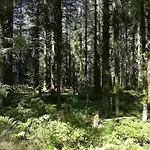 펜션 De La Lette *