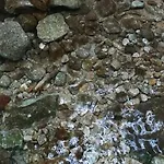 De La Lette 펜션 *