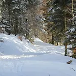 De La Lette 방트롱