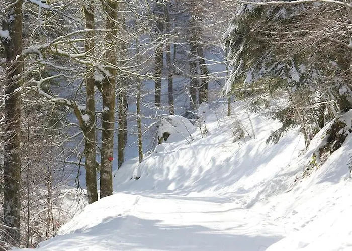 De La Lette * Ventron