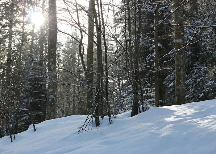 De La Lette * Ventron